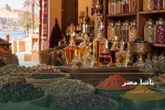 صورة تعبيرية مخصصة عن محمصة لب - باشا مصر