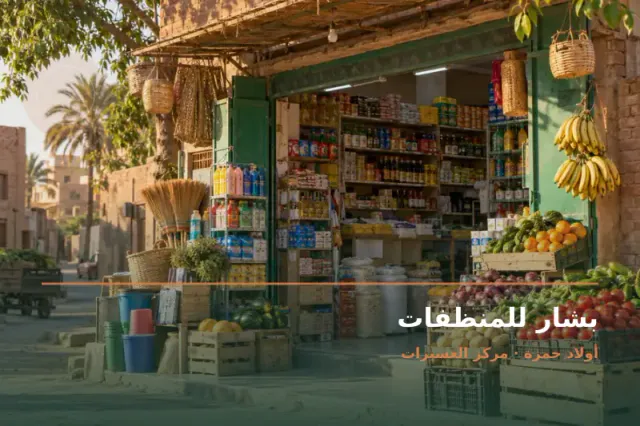 صورة تعبيرية مخصصة عن منظفات - بشار للمنظفات