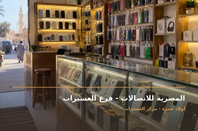 صورة تعبيرية مخصصة عن اتصالات وخدمات إنترنت - المصرية للاتصالات - فرع العسيرات