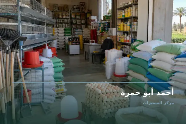 صورة تعبيرية مخصصة عن دواجن - أحمد أبو حمزة